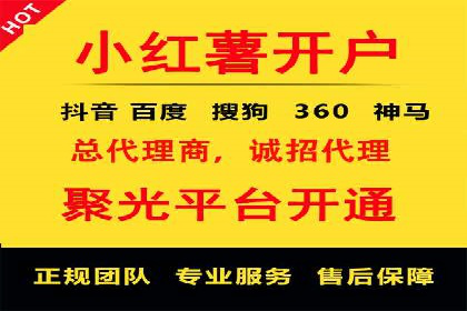 某某SEM团队成功案例：广告投放策略揭秘